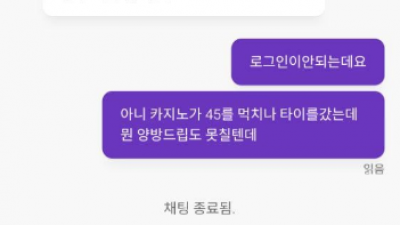 보라카지노