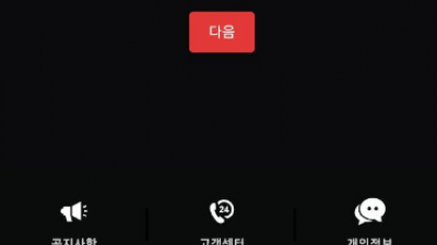 파이팅먹튀