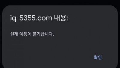 짭 아이큐