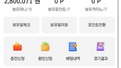 하얀 카지노 실벳280만원 먹튀 증거없이 생사람 잡는 악질먹튀사이트