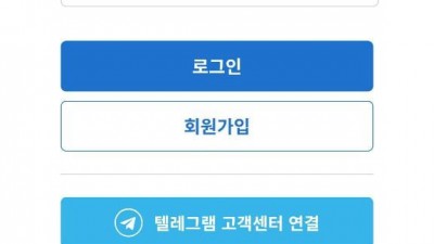 다이스 먹튀