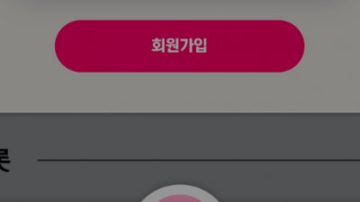 모델 먹튀